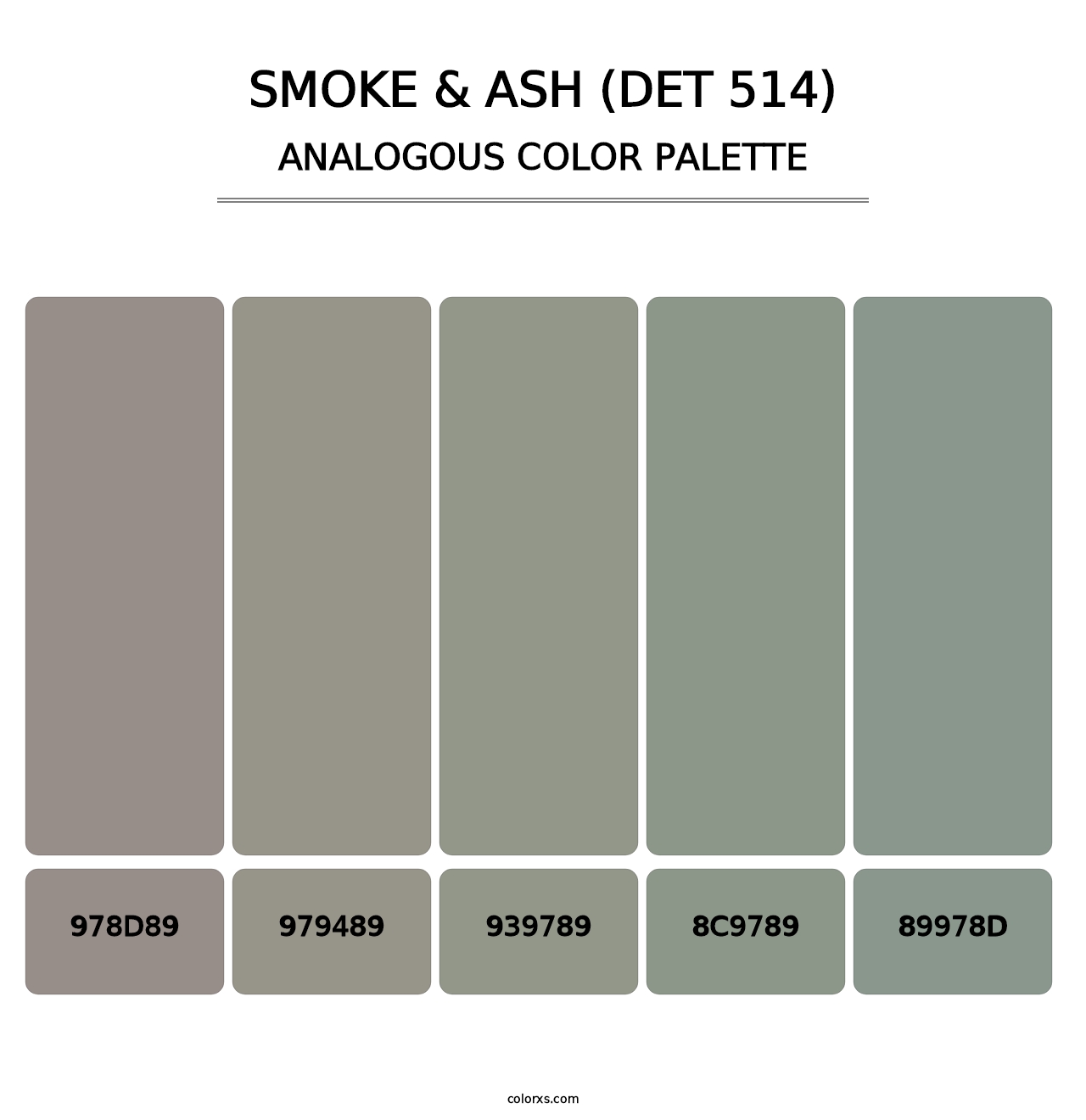 Smoke & Ash (DET 514) - Analogous Color Palette