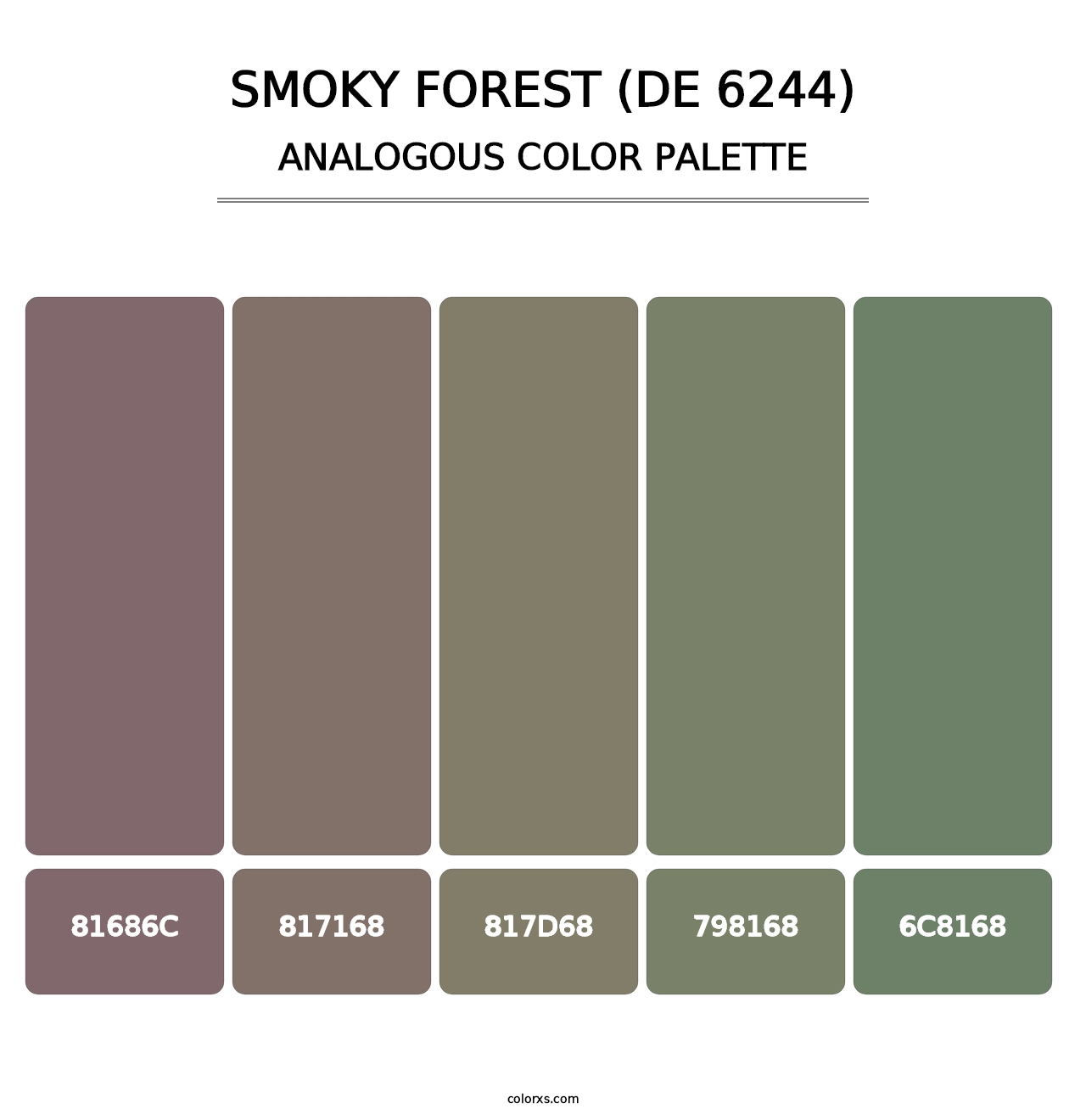 Smoky Forest (DE 6244) - Analogous Color Palette