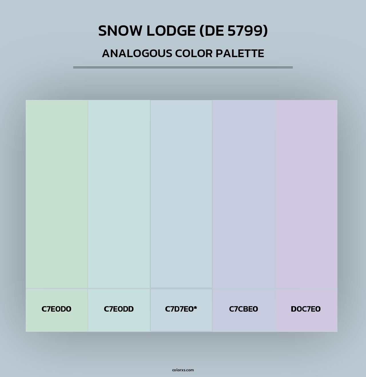 Snow Lodge (DE 5799) - Analogous Color Palette