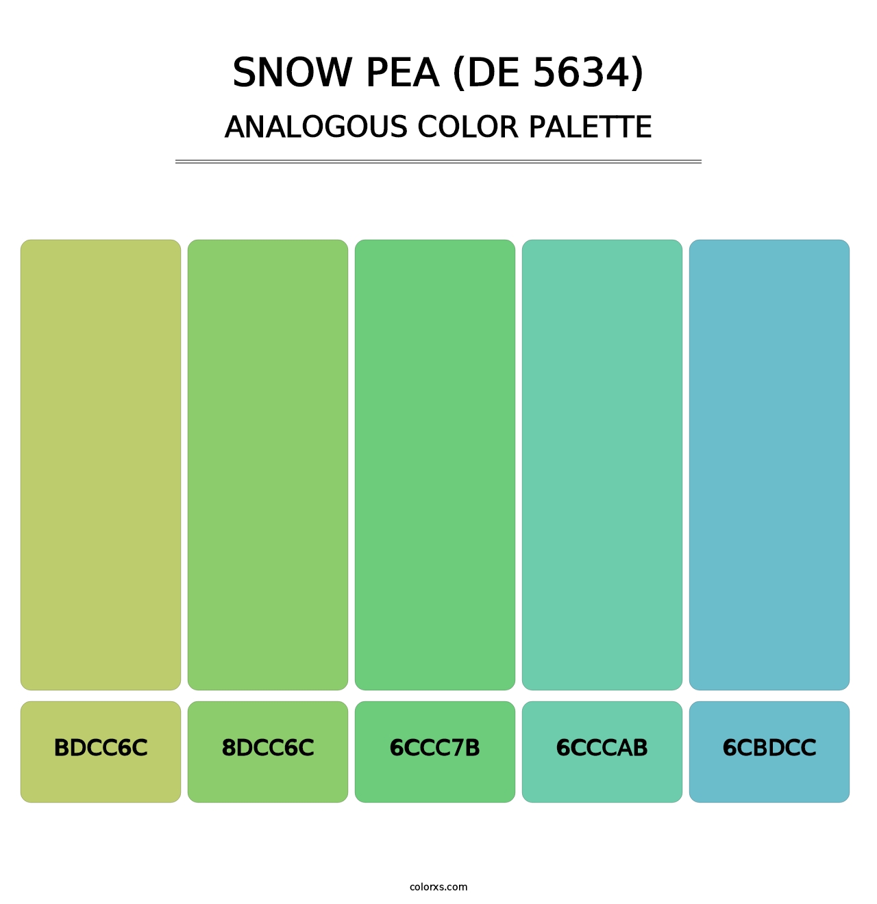 Snow Pea (DE 5634) - Analogous Color Palette