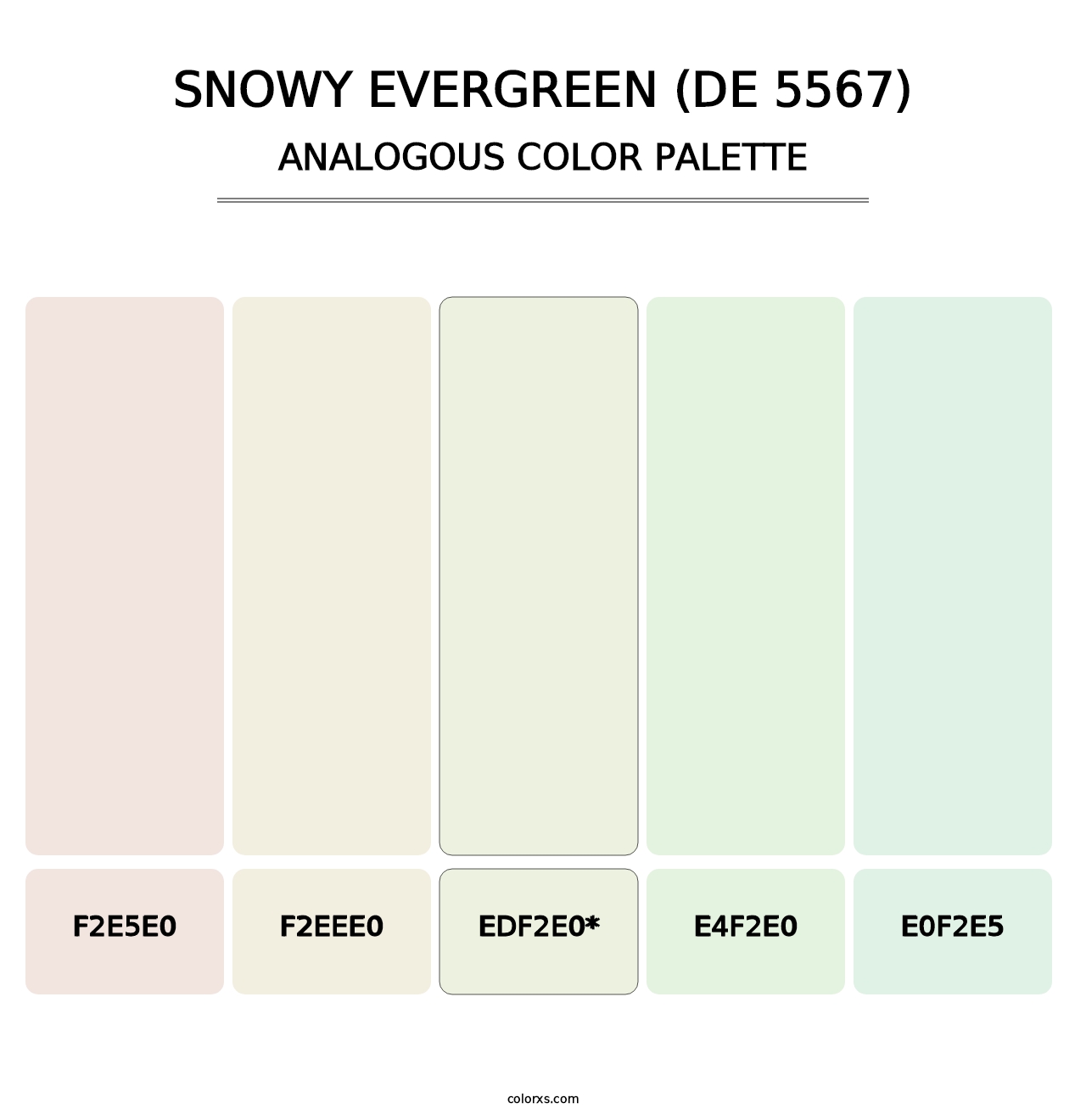 Snowy Evergreen (DE 5567) - Analogous Color Palette