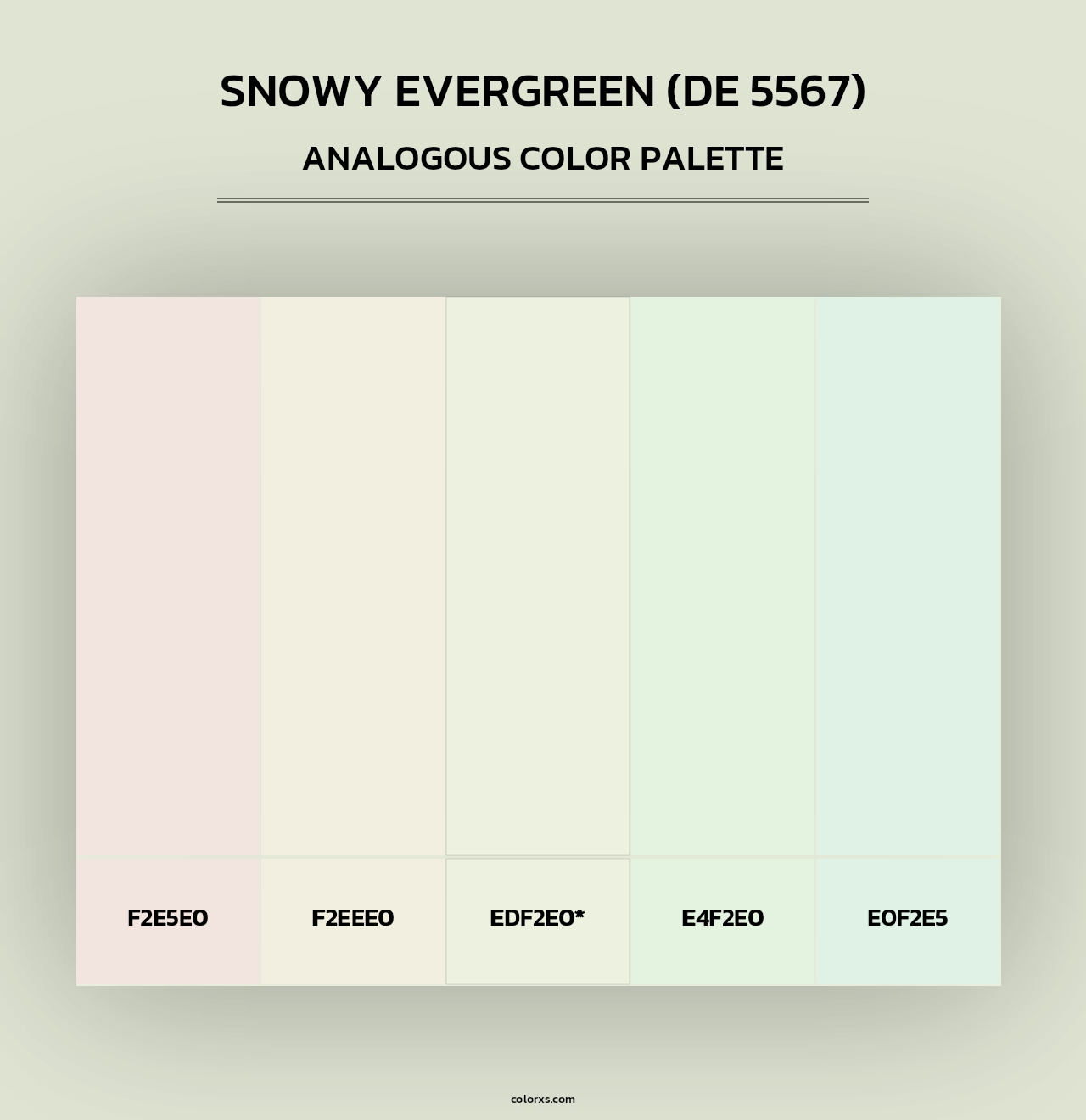 Snowy Evergreen (DE 5567) - Analogous Color Palette
