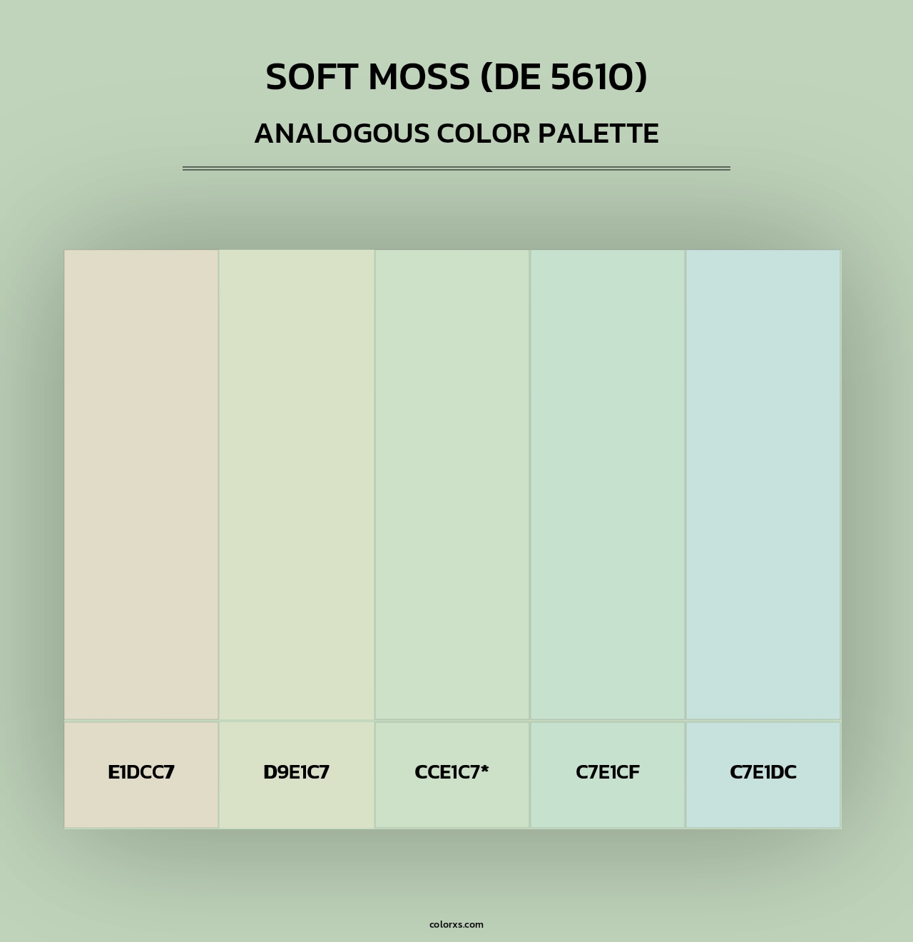 Soft Moss (DE 5610) - Analogous Color Palette
