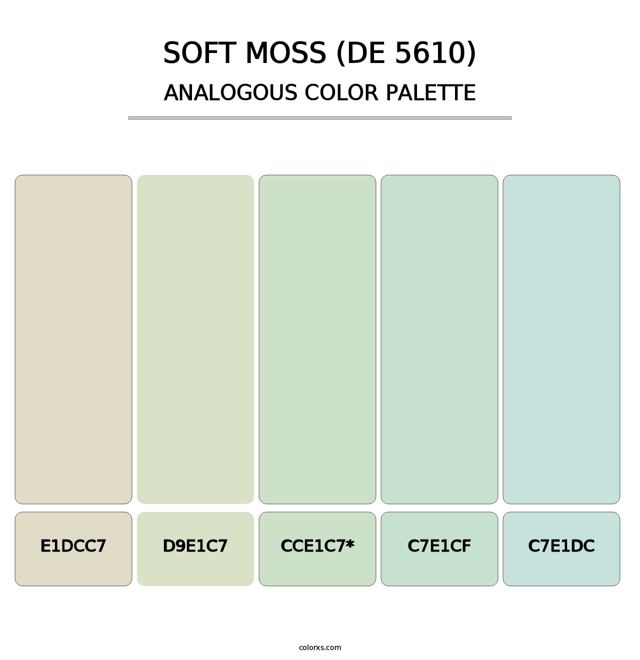 Soft Moss (DE 5610) - Analogous Color Palette
