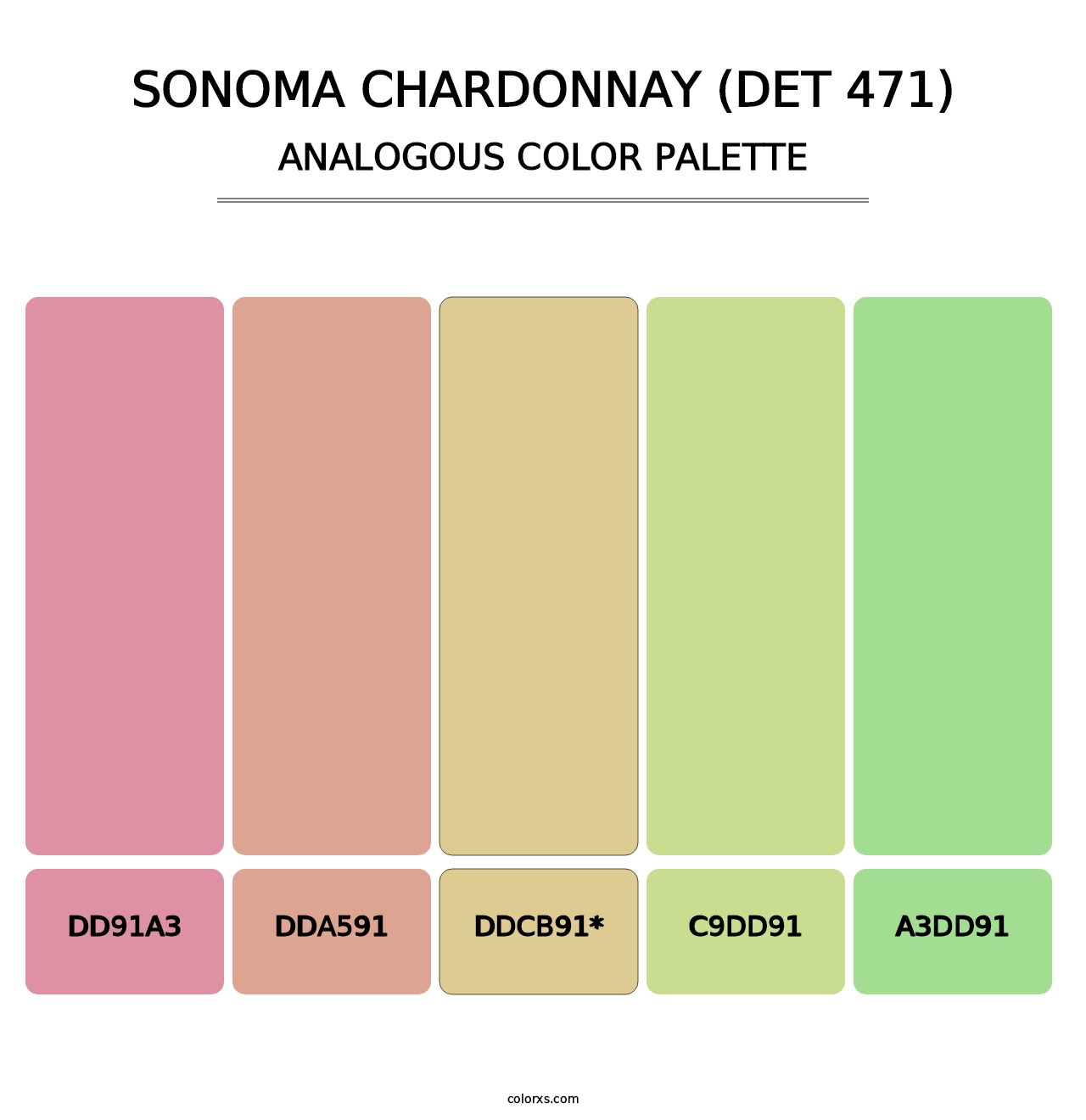 Sonoma Chardonnay (DET 471) - Analogous Color Palette