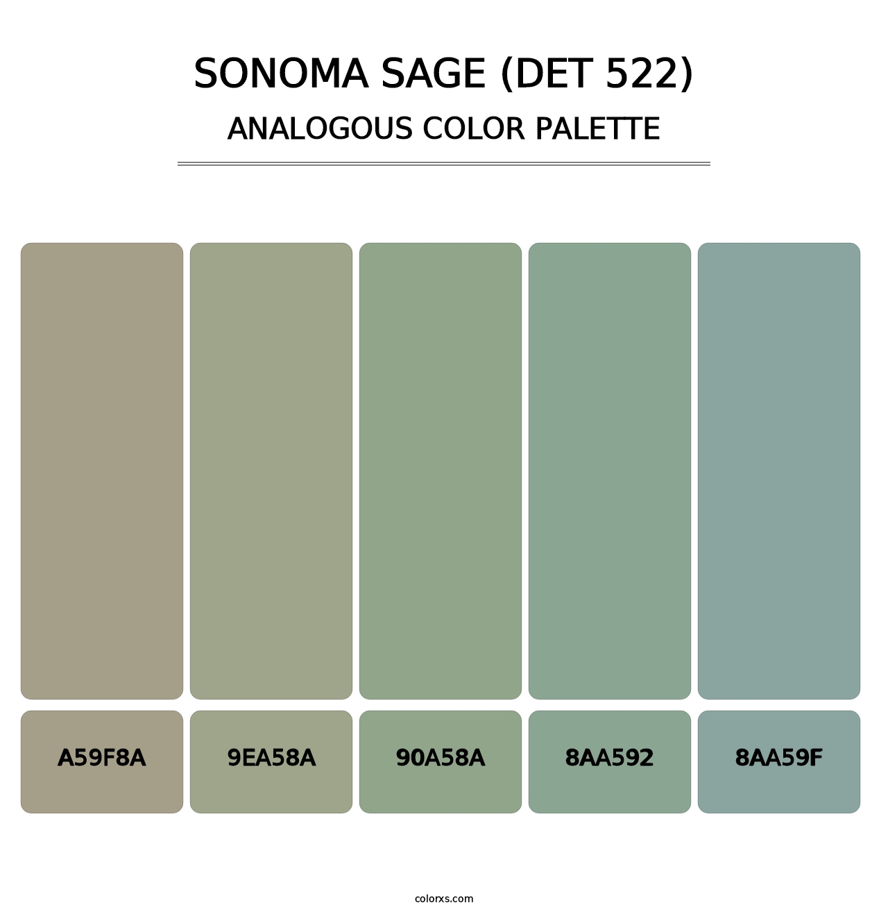 Sonoma Sage (DET 522) - Analogous Color Palette