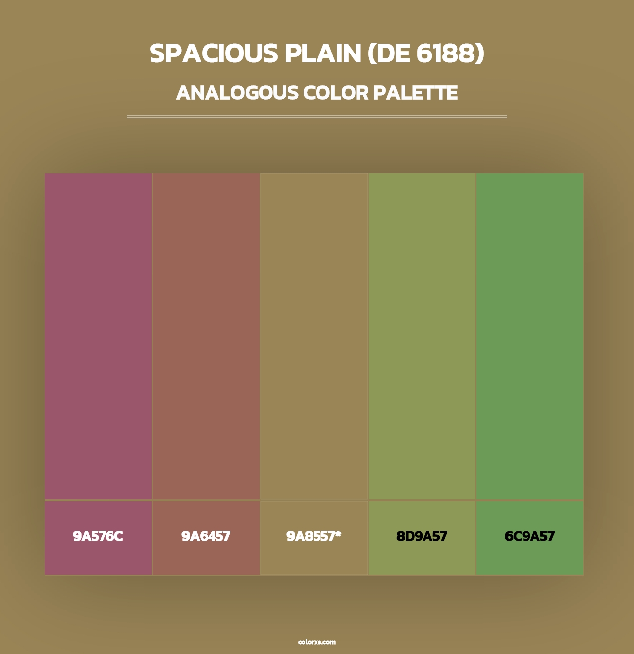 Spacious Plain (DE 6188) - Analogous Color Palette