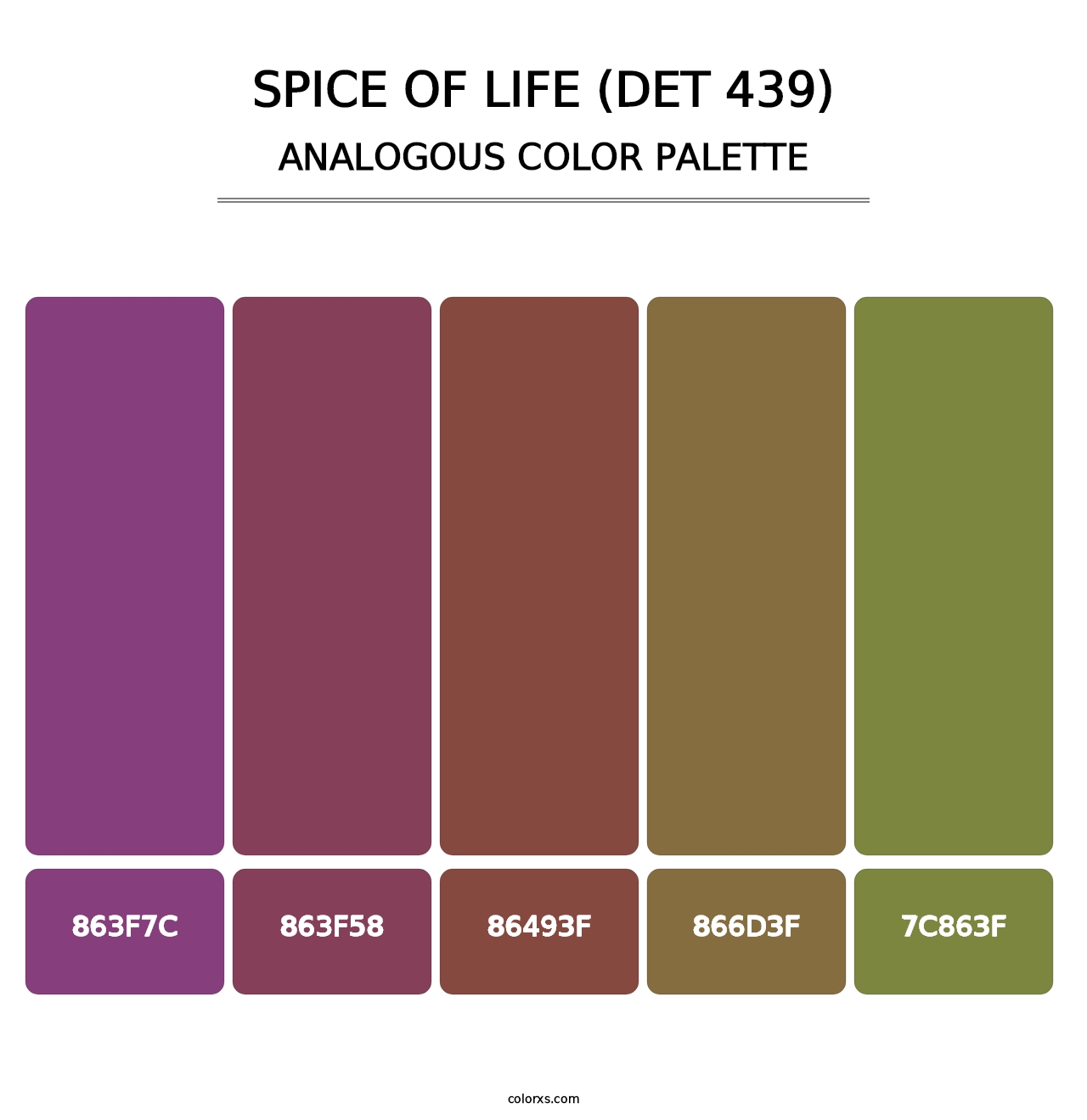Spice of Life (DET 439) - Analogous Color Palette