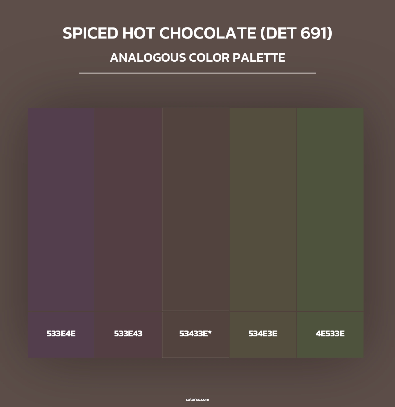 Spiced Hot Chocolate (DET 691) - Analogous Color Palette