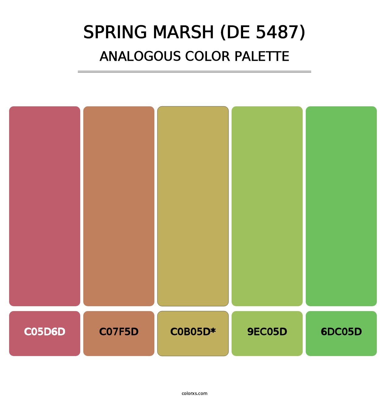 Spring Marsh (DE 5487) - Analogous Color Palette