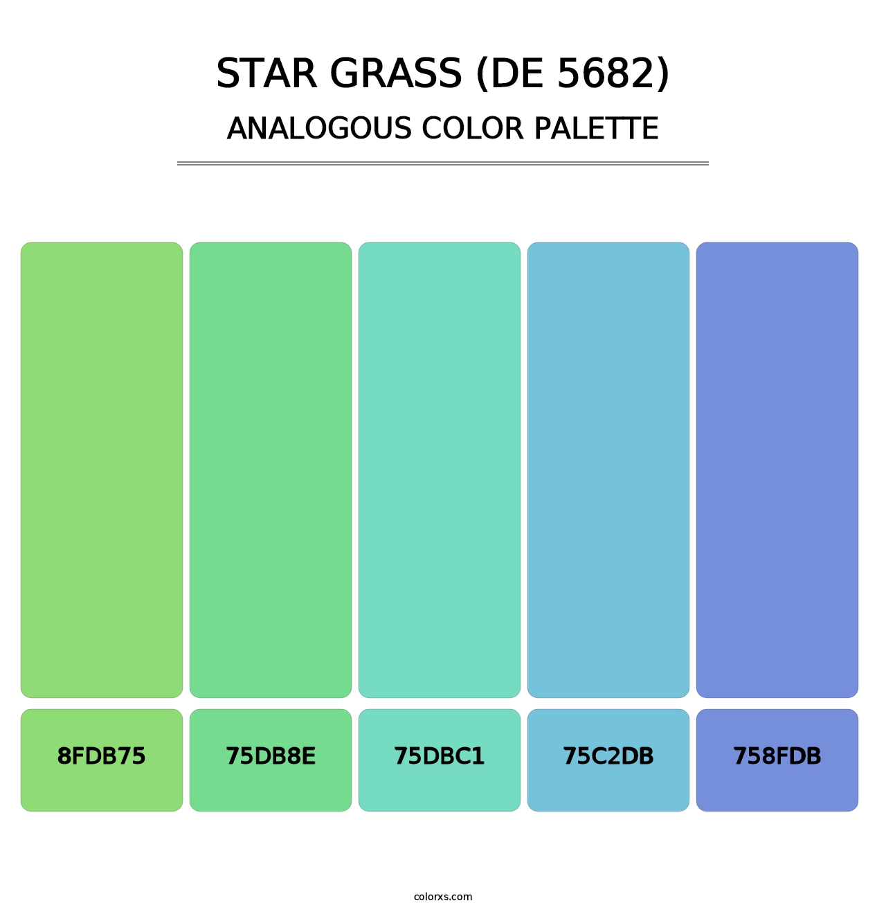 Star Grass (DE 5682) - Analogous Color Palette