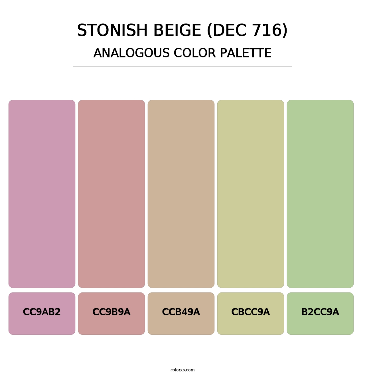 Stonish Beige (DEC 716) - Analogous Color Palette