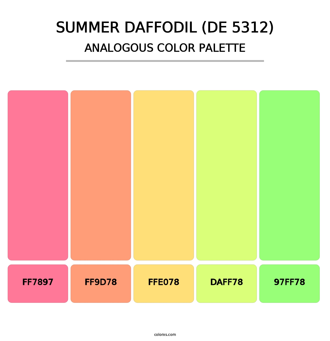 Summer Daffodil (DE 5312) - Analogous Color Palette