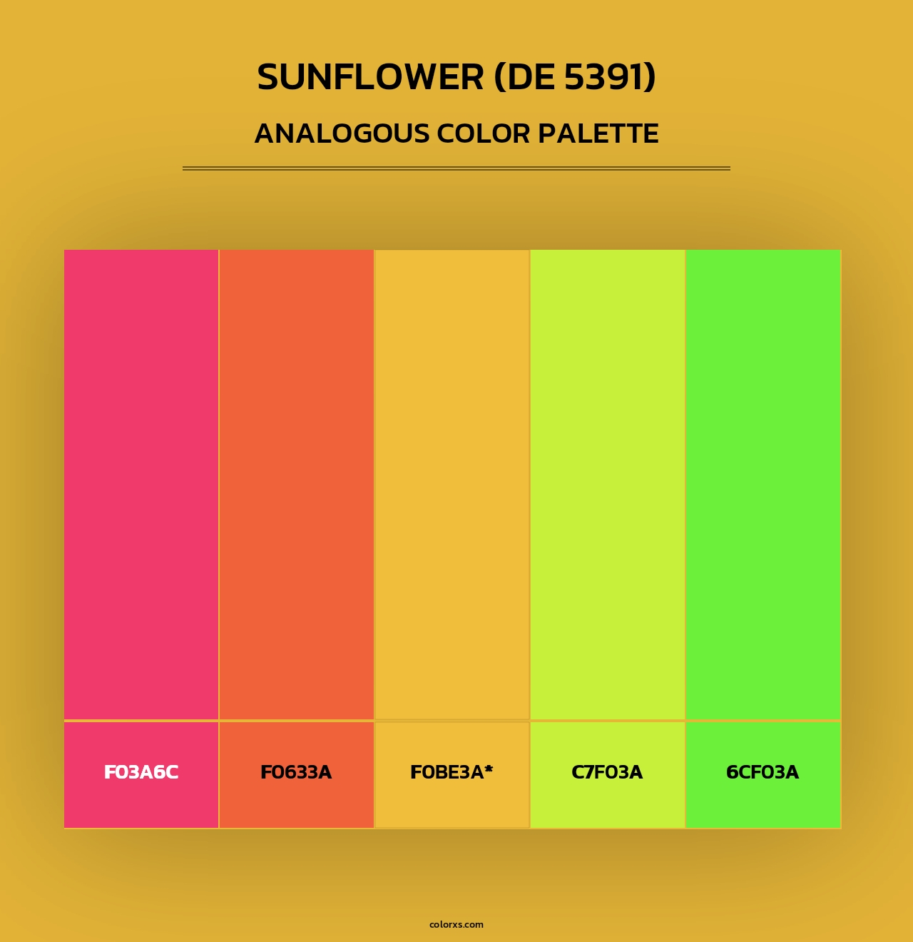 Sunflower (DE 5391) - Analogous Color Palette