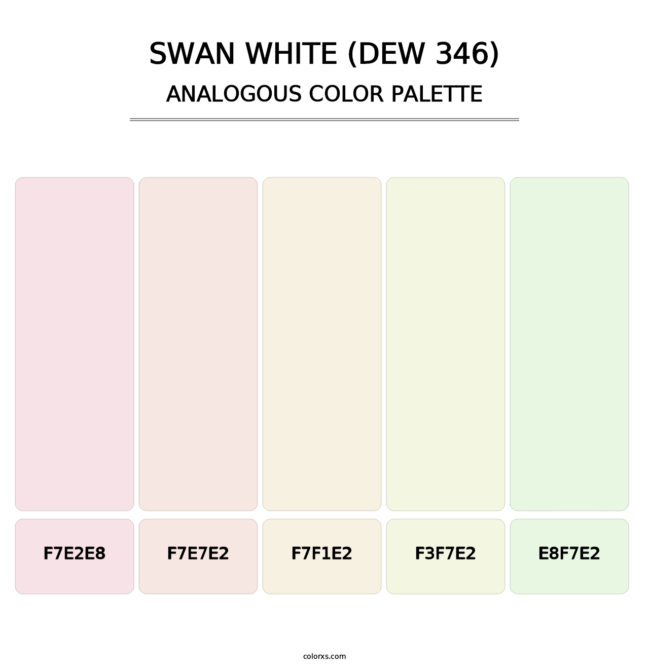 Swan White (DEW 346) - Analogous Color Palette