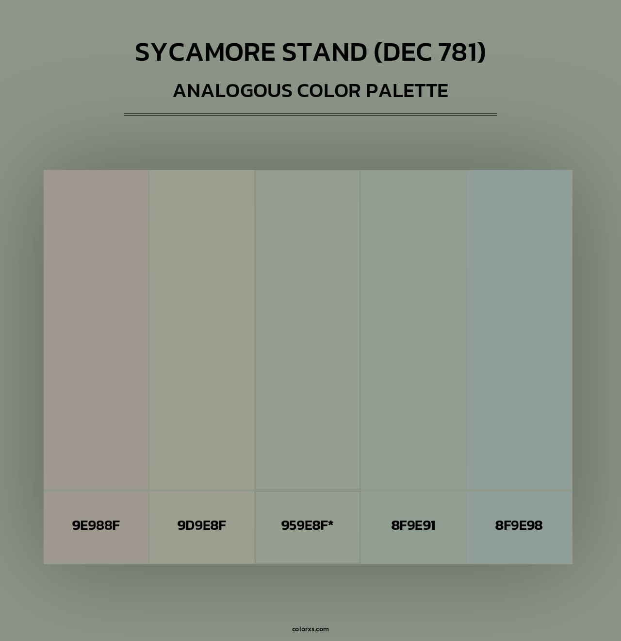 Sycamore Stand (DEC 781) - Analogous Color Palette