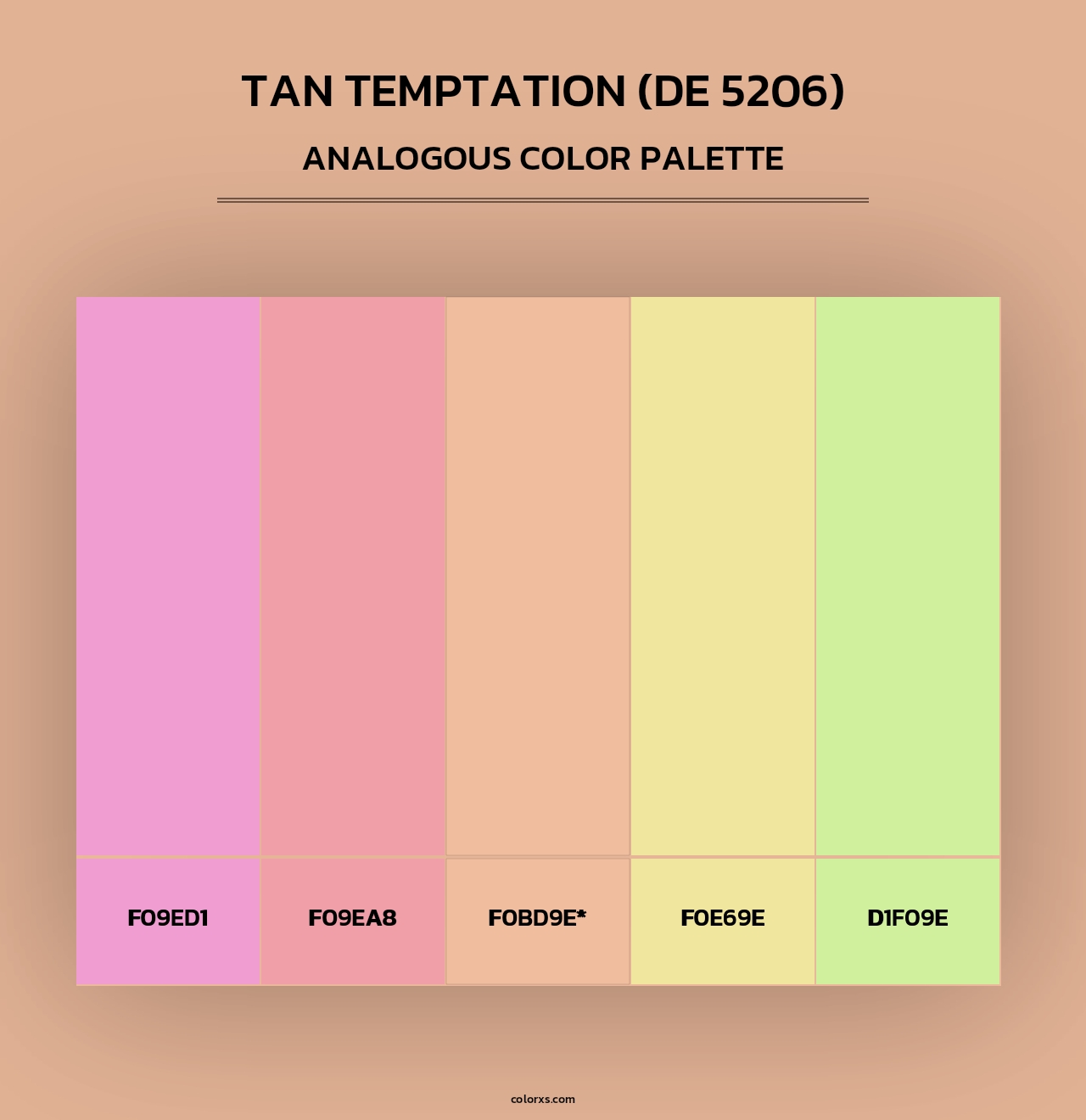 Tan Temptation (DE 5206) - Analogous Color Palette