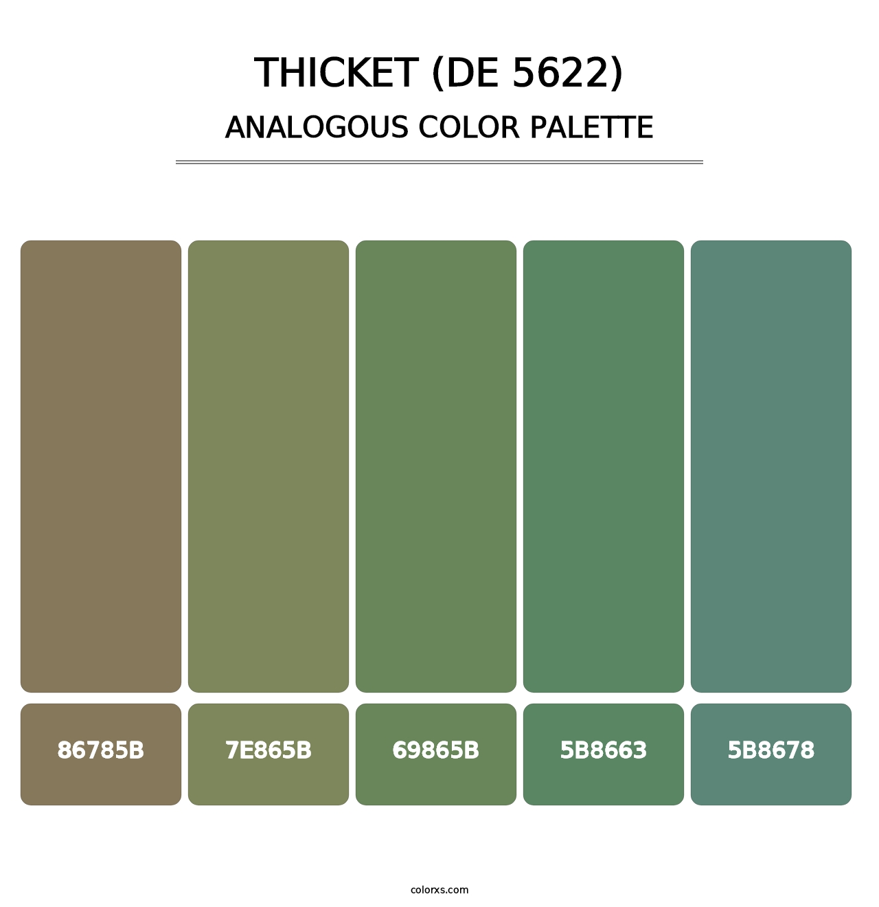 Thicket (DE 5622) - Analogous Color Palette