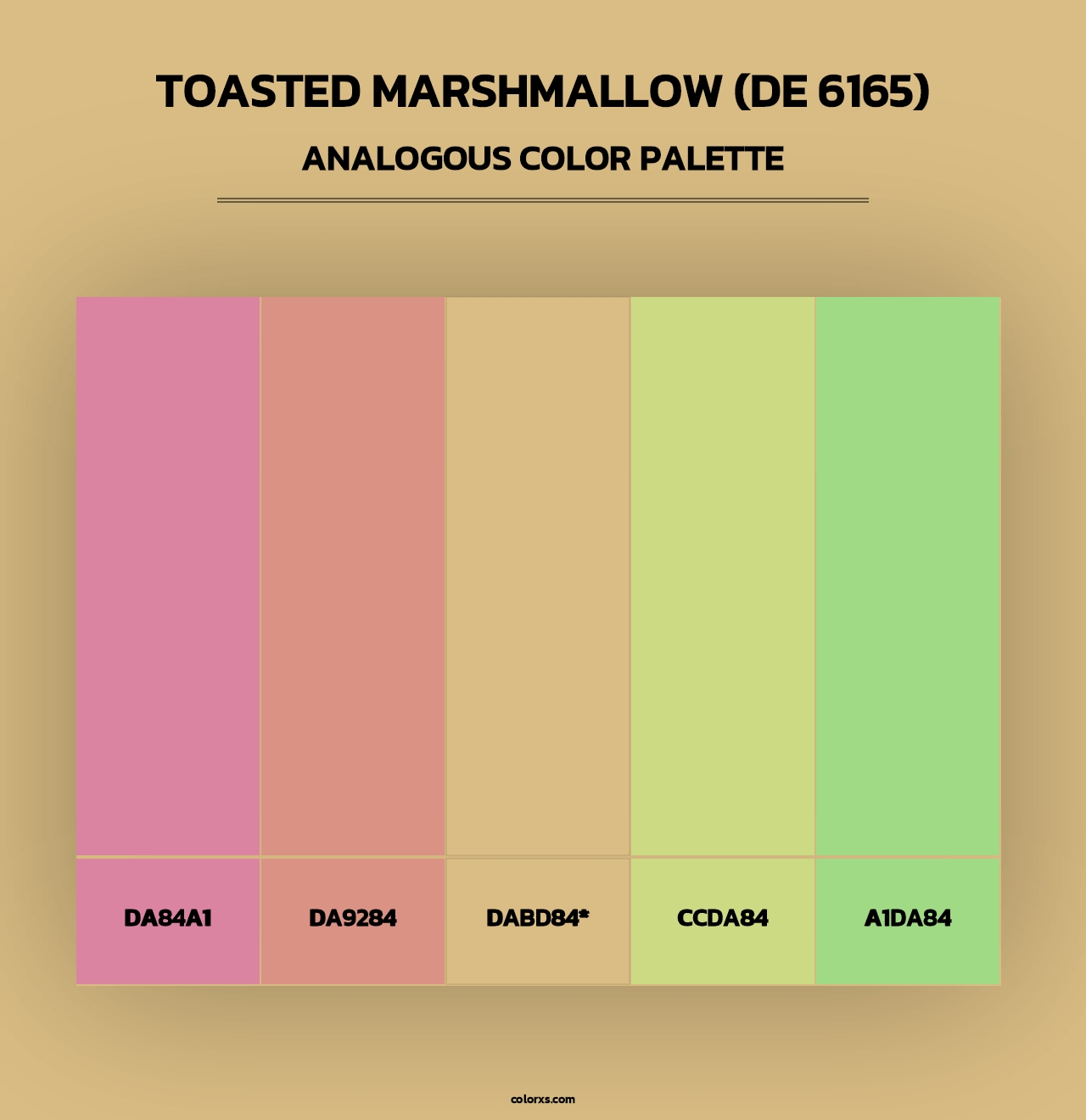 Toasted Marshmallow (DE 6165) - Analogous Color Palette