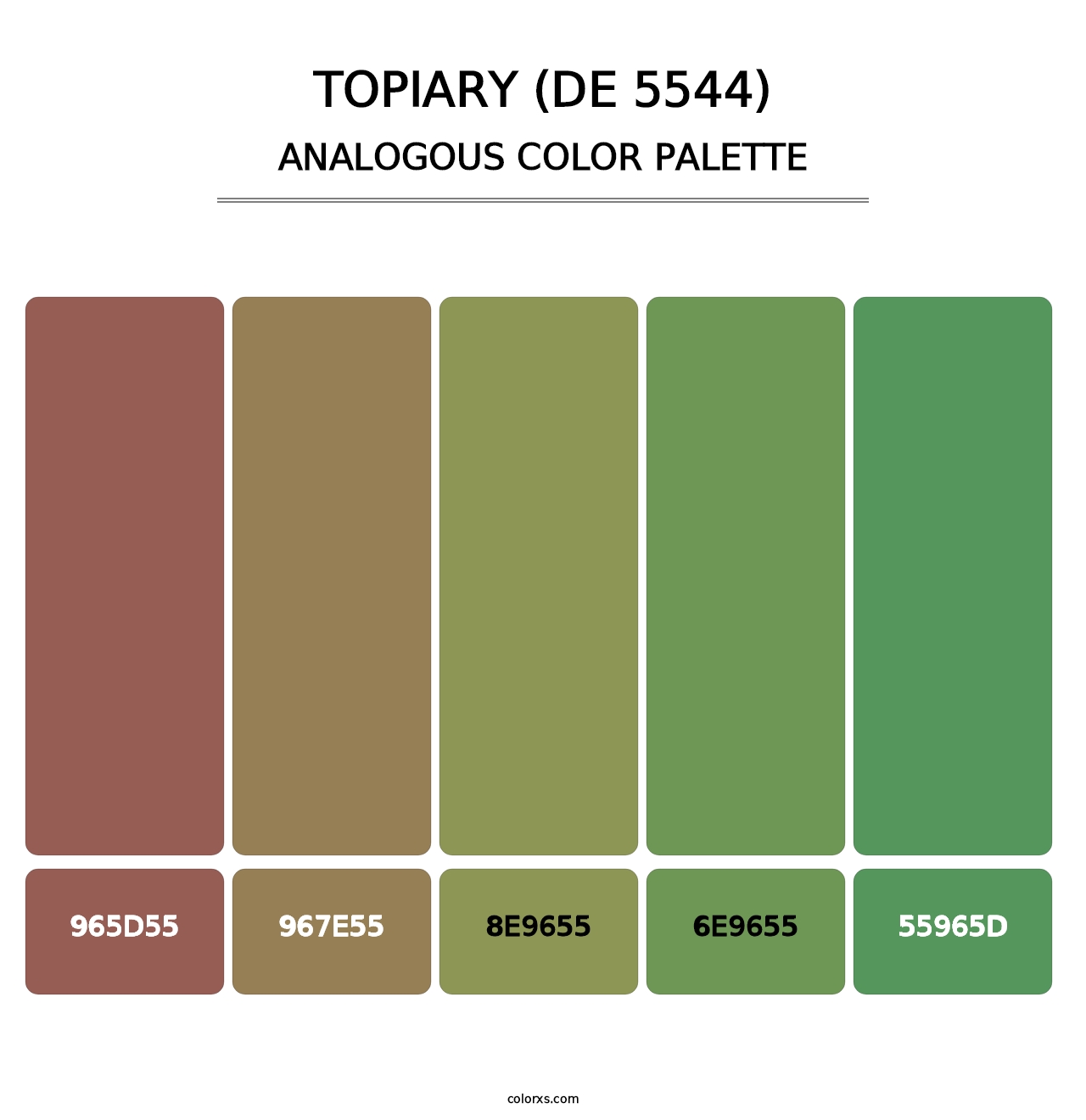 Topiary (DE 5544) - Analogous Color Palette