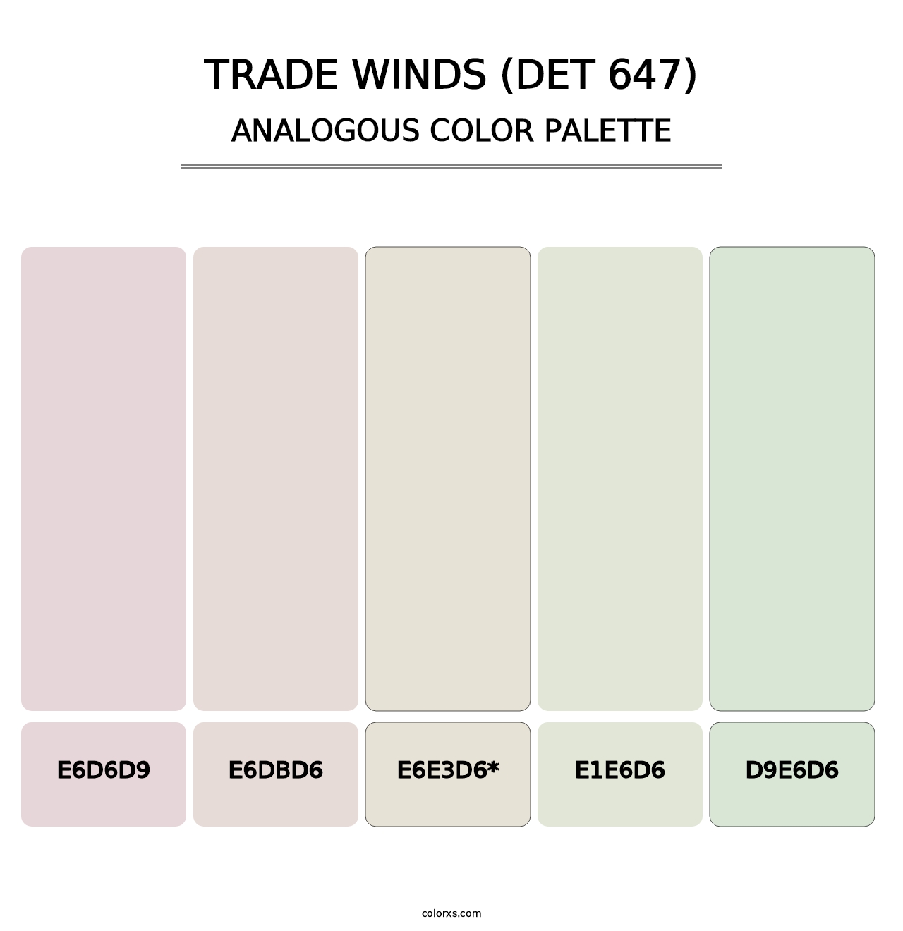 Trade Winds (DET 647) - Analogous Color Palette
