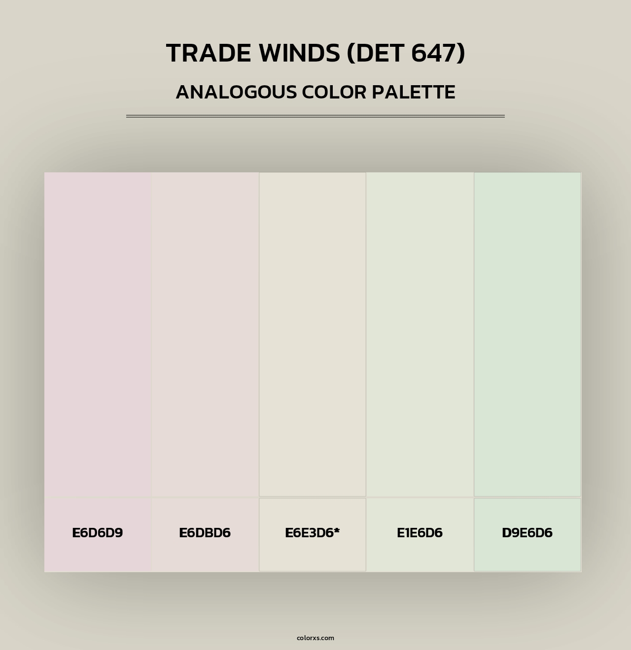 Trade Winds (DET 647) - Analogous Color Palette