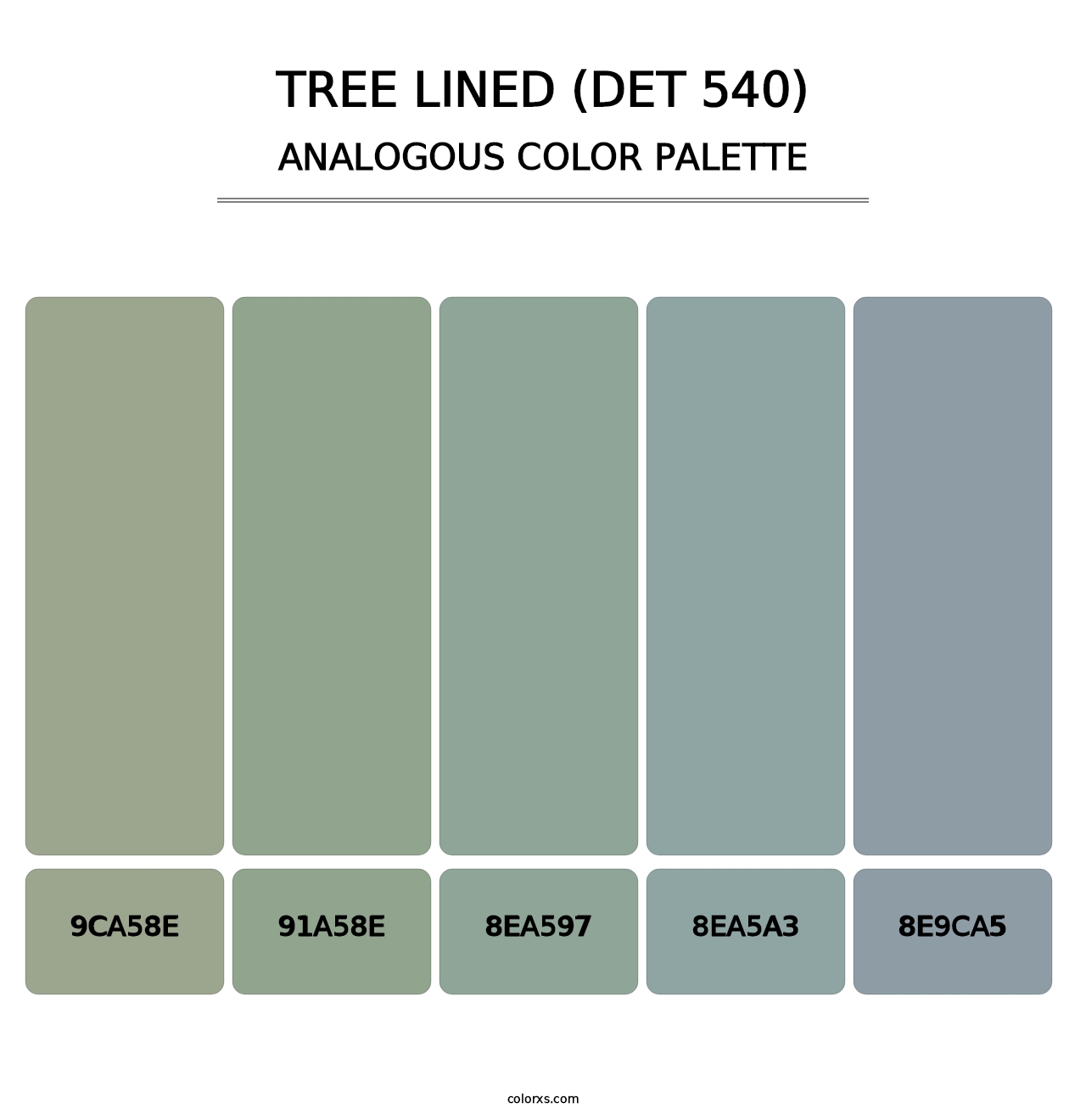 Tree Lined (DET 540) - Analogous Color Palette