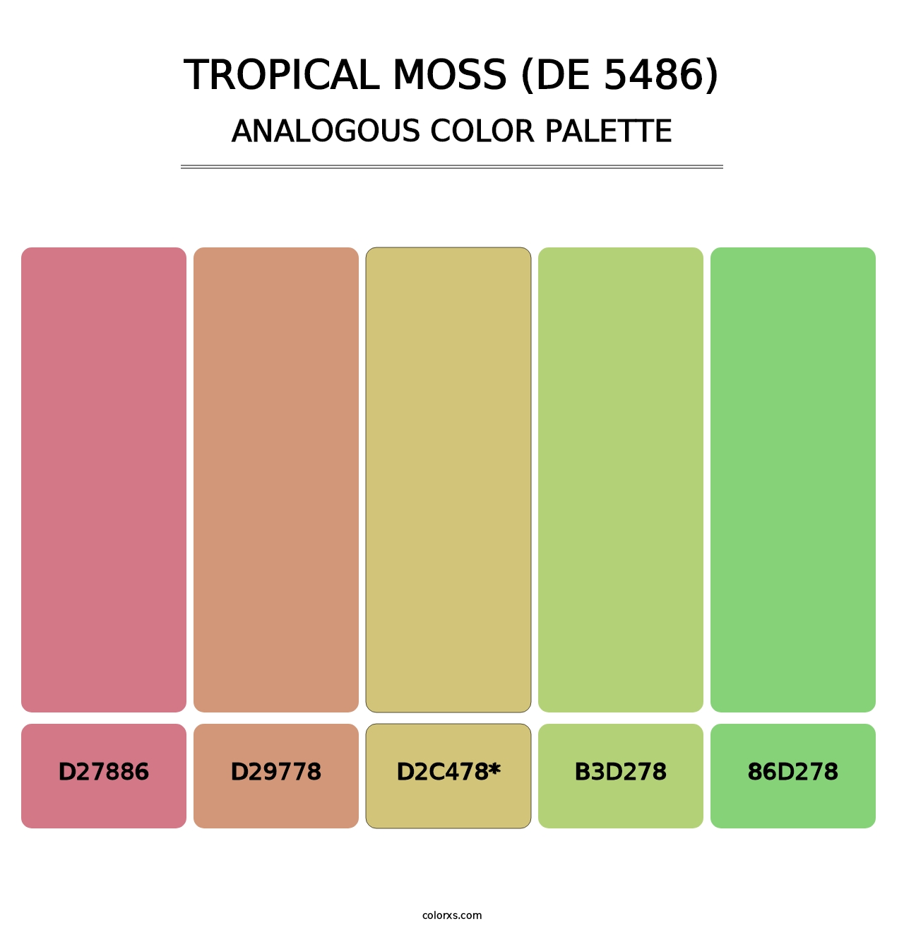 Tropical Moss (DE 5486) - Analogous Color Palette