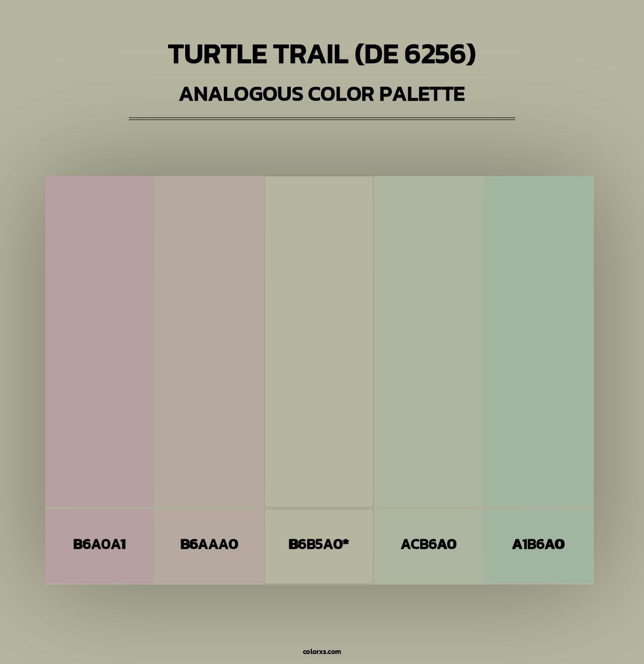 Turtle Trail (DE 6256) - Analogous Color Palette