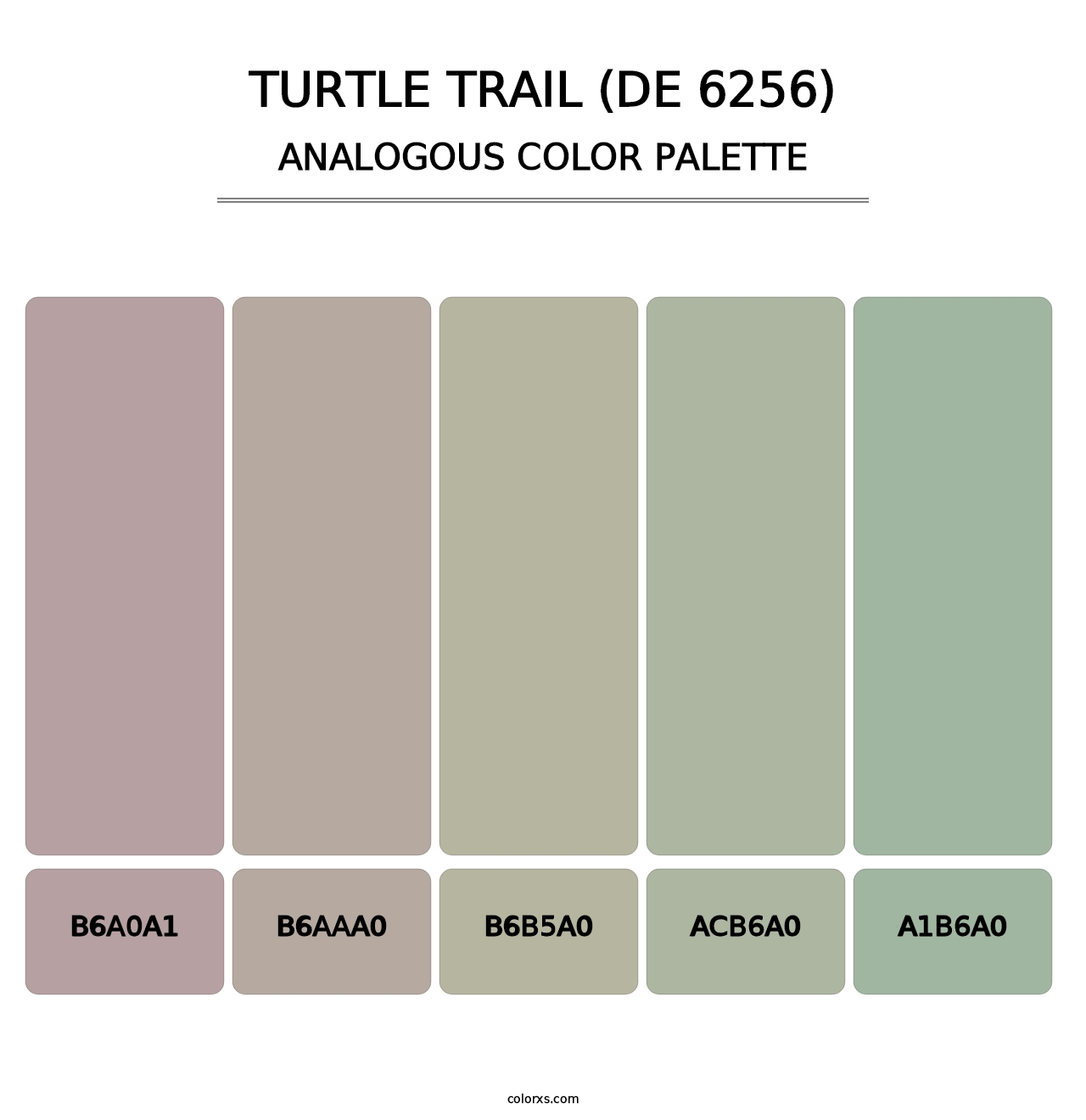 Turtle Trail (DE 6256) - Analogous Color Palette