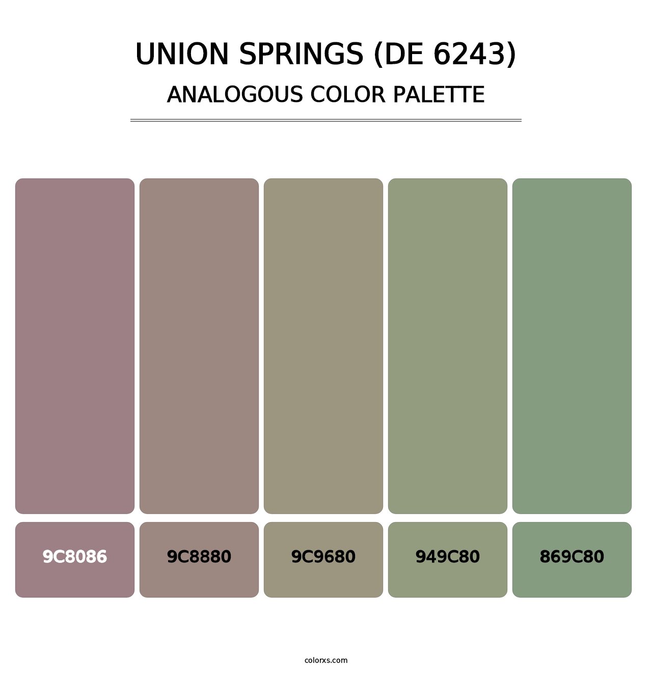 Union Springs (DE 6243) - Analogous Color Palette