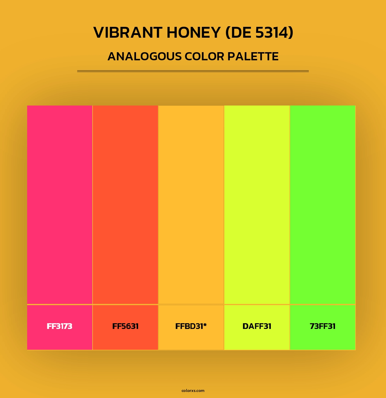 Vibrant Honey (DE 5314) - Analogous Color Palette