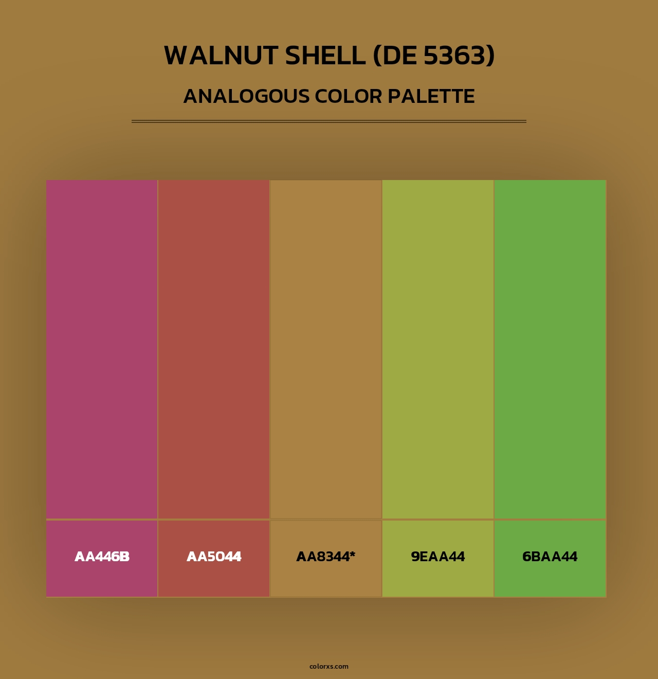 Walnut Shell (DE 5363) - Analogous Color Palette