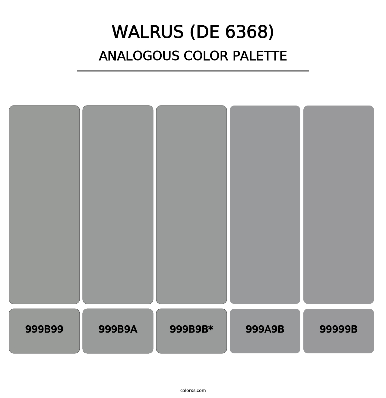 Walrus (DE 6368) - Analogous Color Palette
