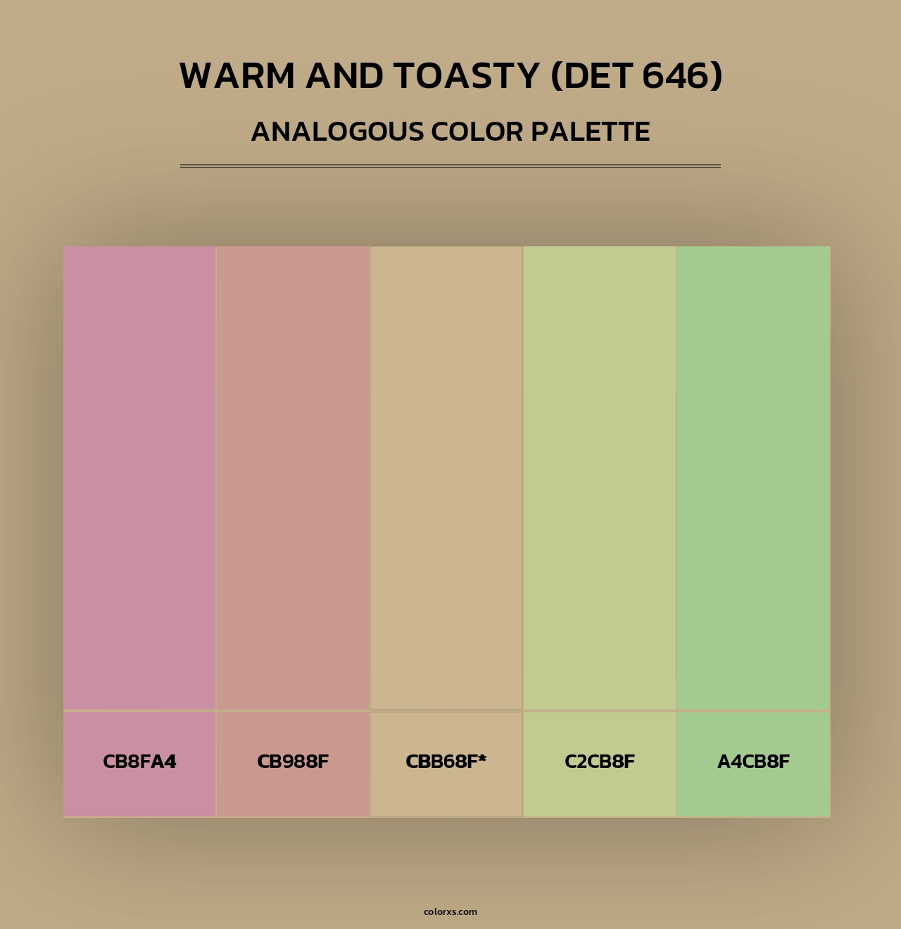 Warm and Toasty (DET 646) - Analogous Color Palette