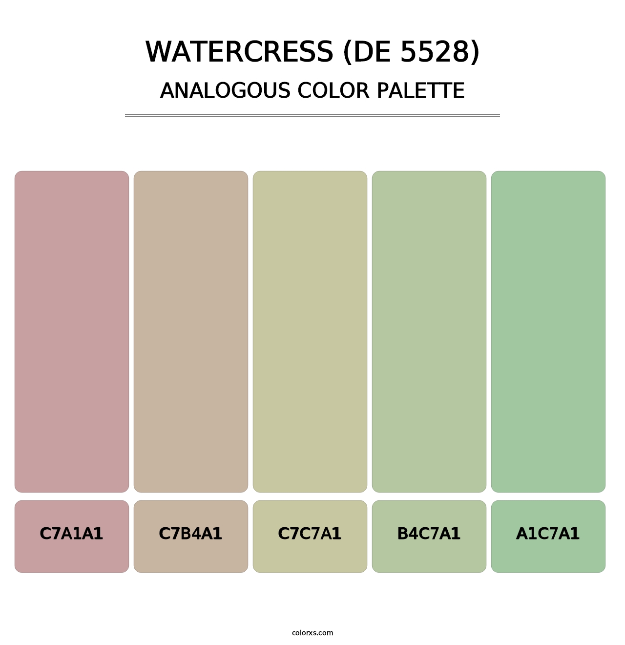 Watercress (DE 5528) - Analogous Color Palette