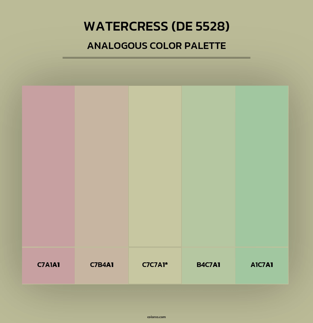 Watercress (DE 5528) - Analogous Color Palette