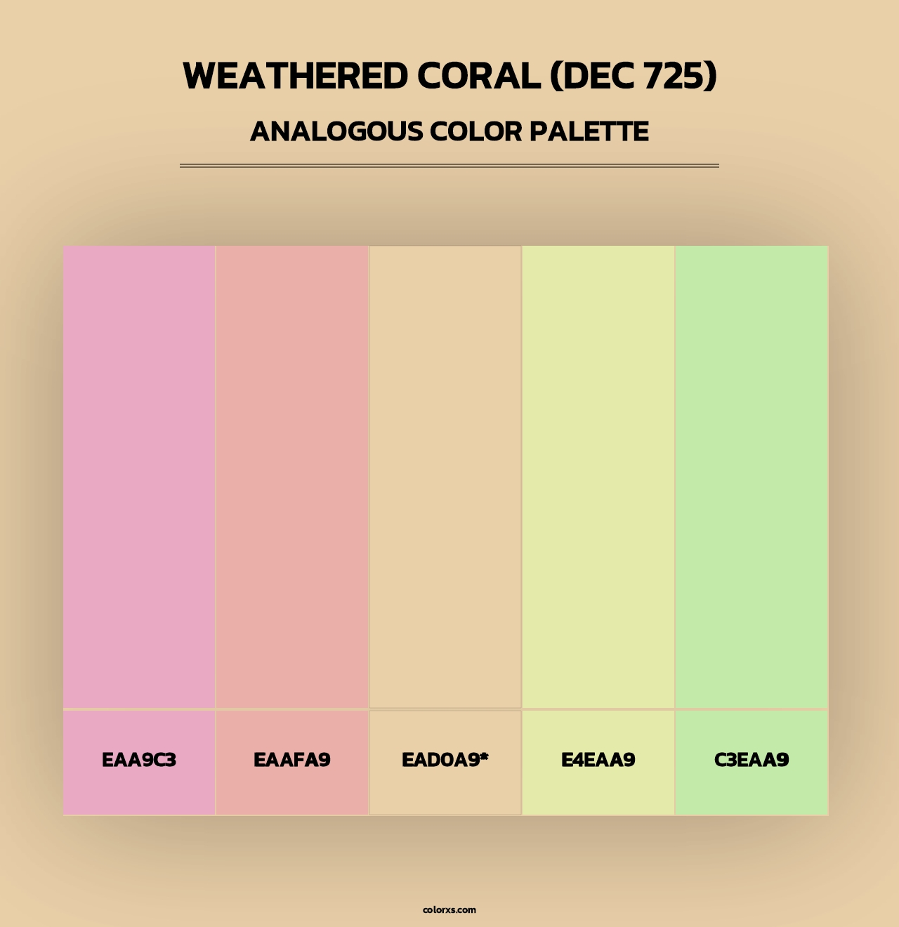Weathered Coral (DEC 725) - Analogous Color Palette
