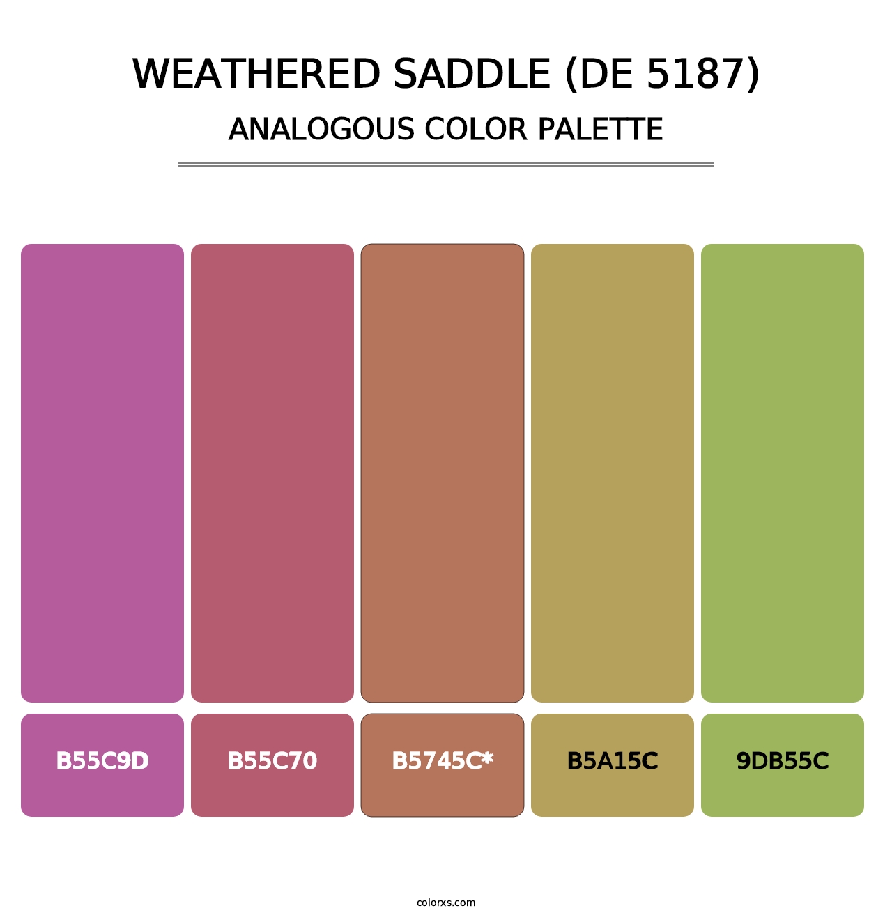 Weathered Saddle (DE 5187) - Analogous Color Palette