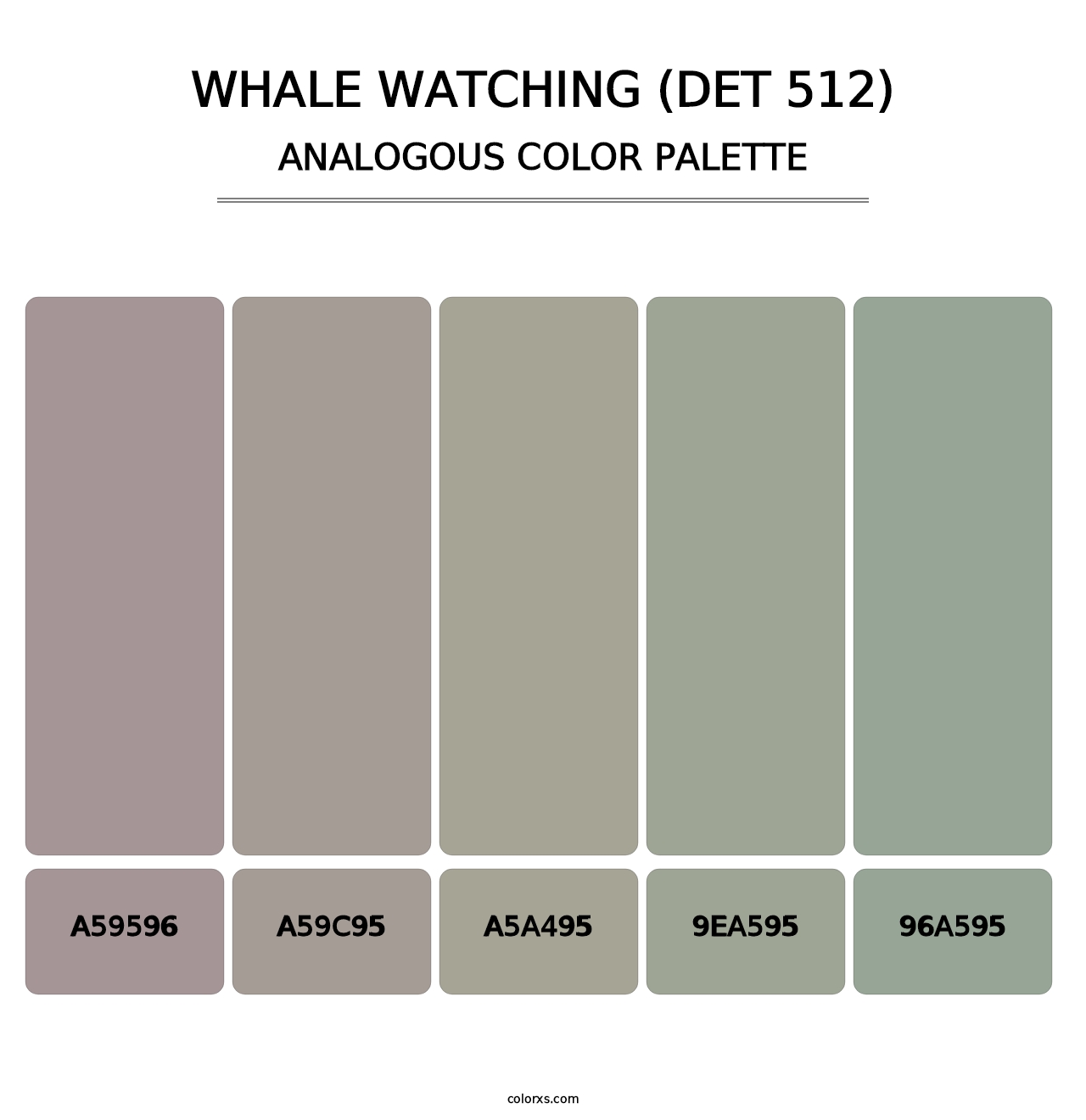 Whale Watching (DET 512) - Analogous Color Palette
