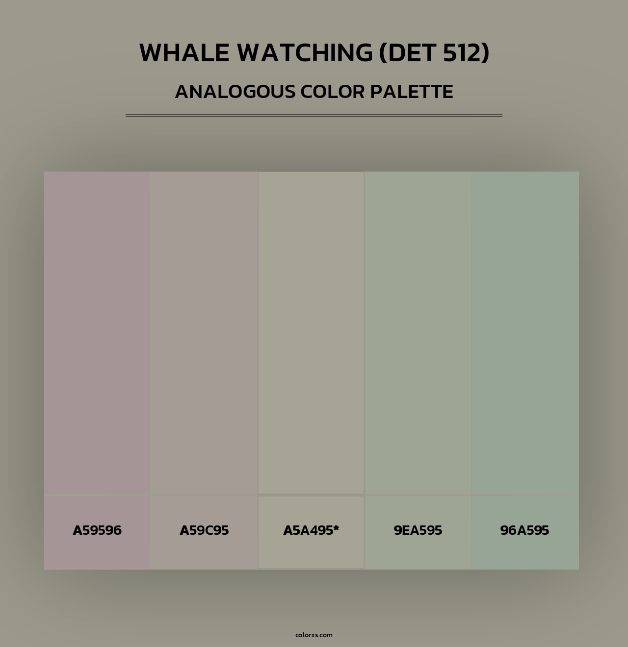 Whale Watching (DET 512) - Analogous Color Palette