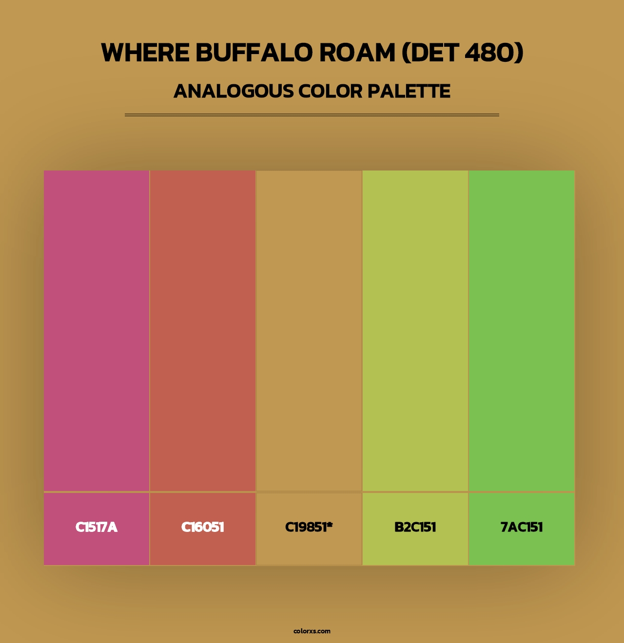 Where Buffalo Roam (DET 480) - Analogous Color Palette