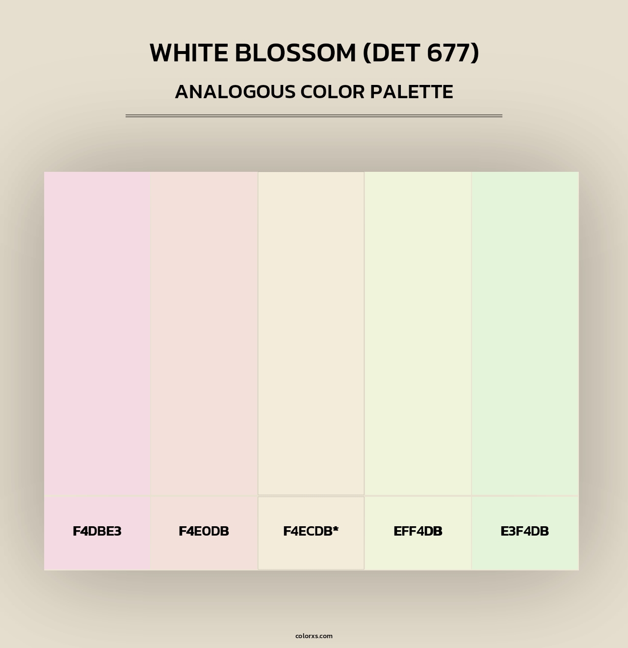 White Blossom (DET 677) - Analogous Color Palette