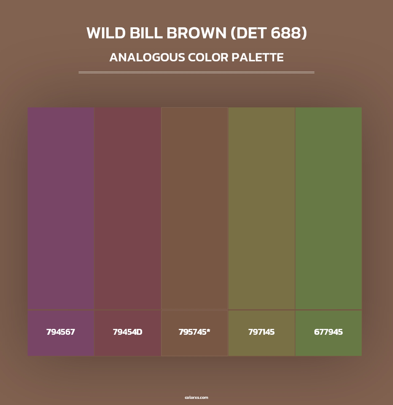 Wild Bill Brown (DET 688) - Analogous Color Palette