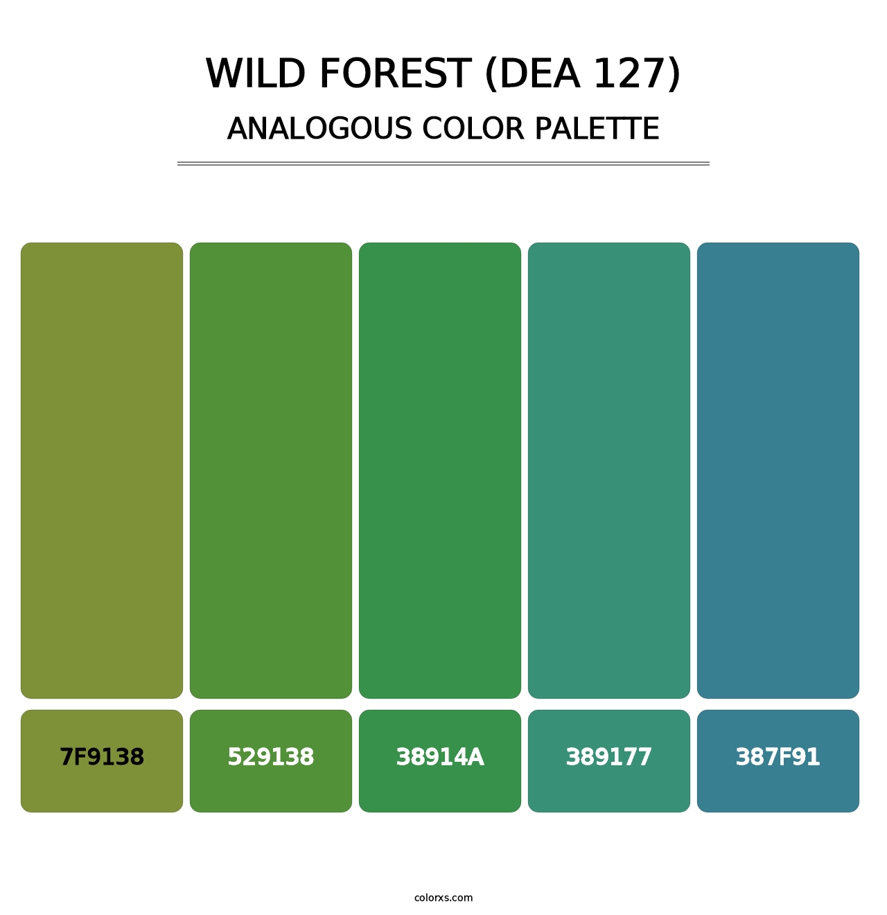 Wild Forest (DEA 127) - Analogous Color Palette