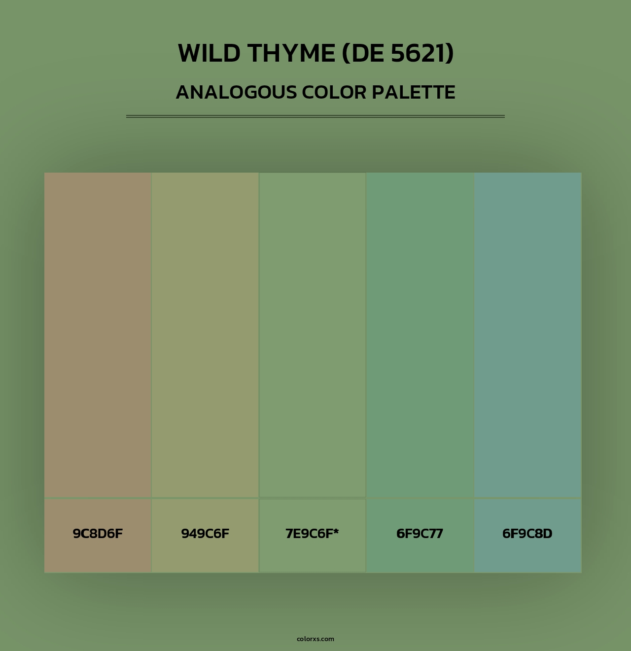 Wild Thyme (DE 5621) - Analogous Color Palette