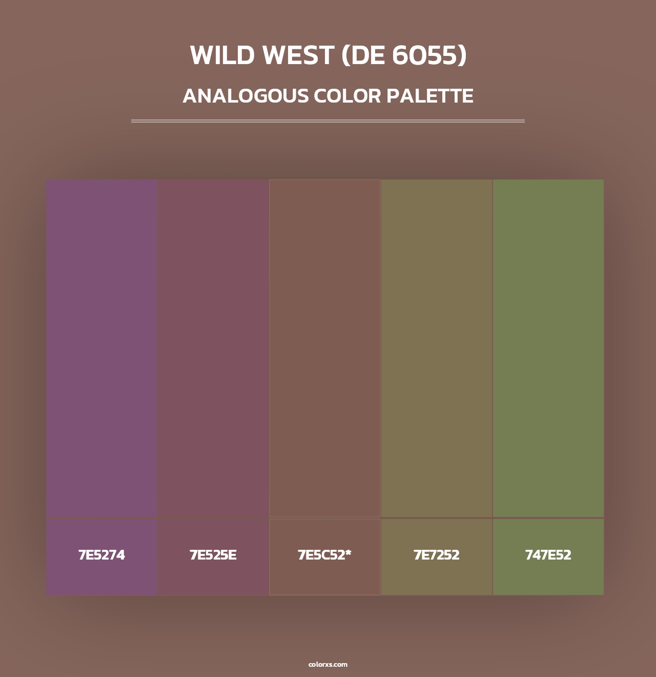 Wild West (DE 6055) - Analogous Color Palette