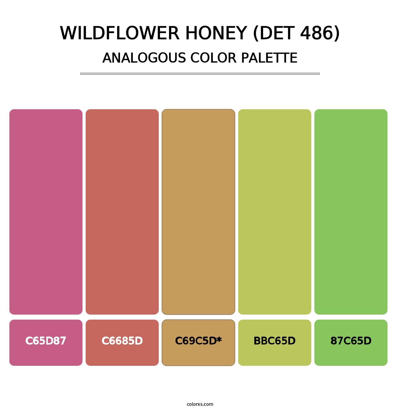 Wildflower Honey (DET 486) - Analogous Color Palette