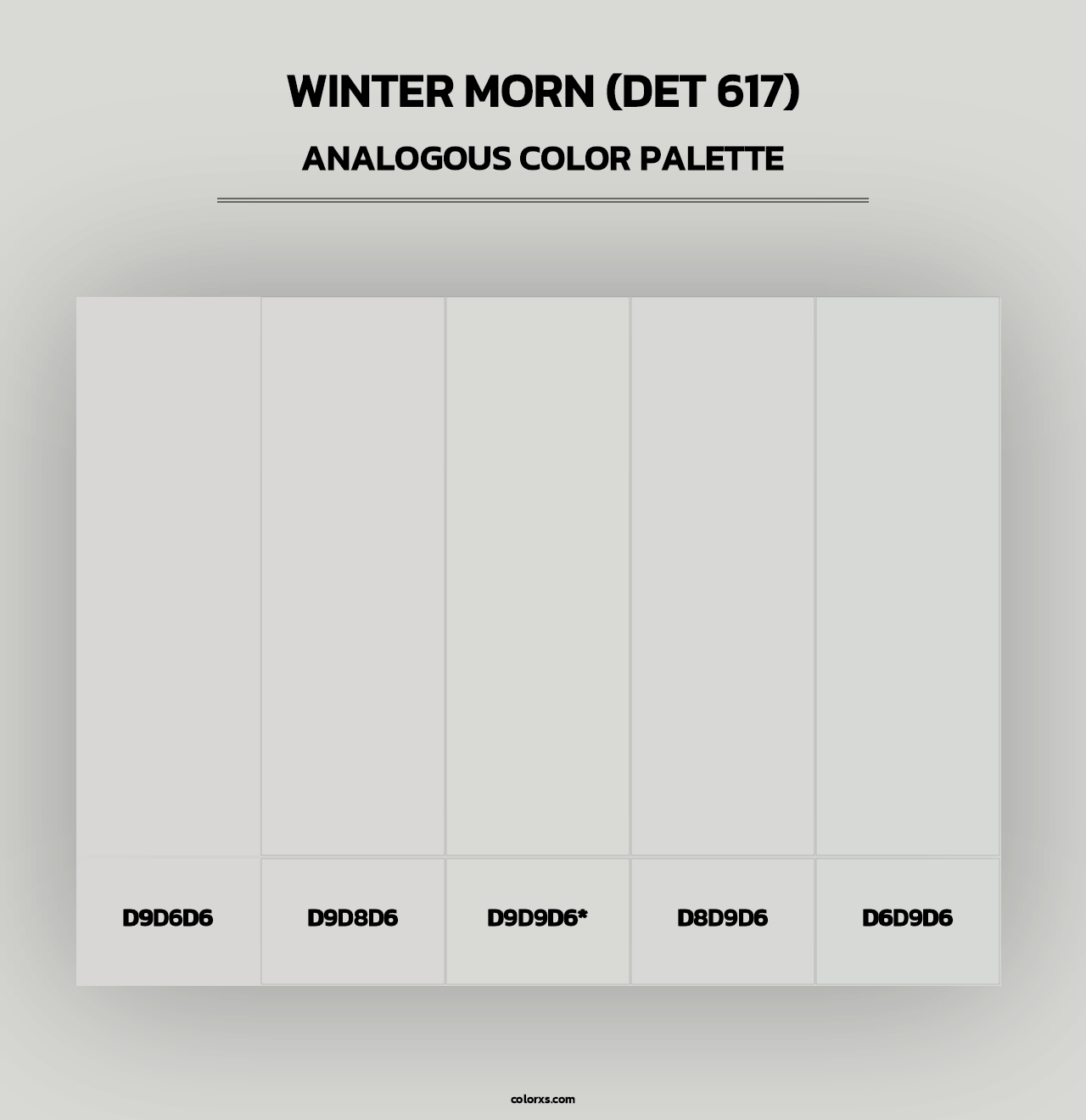 Winter Morn (DET 617) - Analogous Color Palette