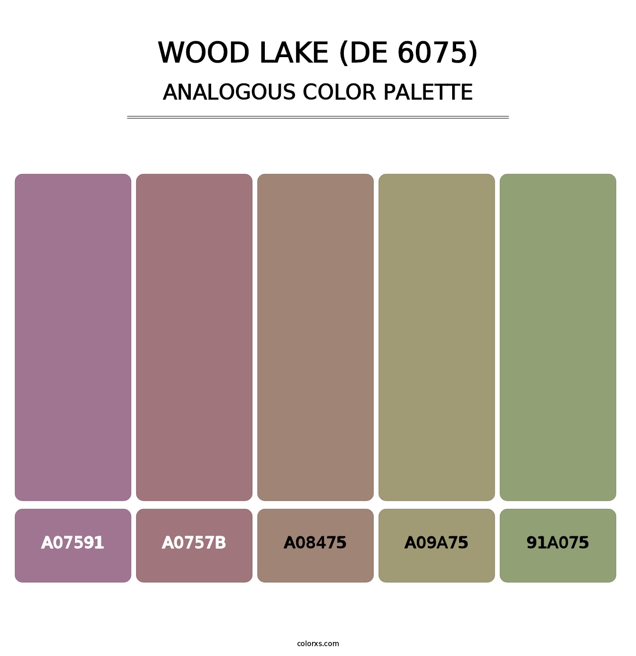 Wood Lake (DE 6075) - Analogous Color Palette